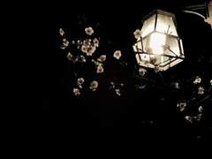 구청운, 3학년, 19세, 남성