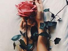 回歸線(회귀선). 17