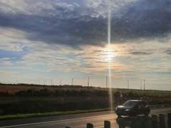 🐹진슙 합작 링크🐱