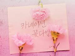 카네이션 꽃다발