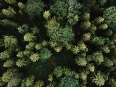 [GT] 플라스크 언더 그라운드.Ⅰ