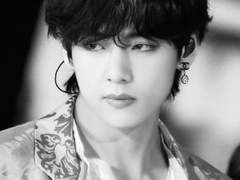 [뷔진] Butterfly 16 (전체)