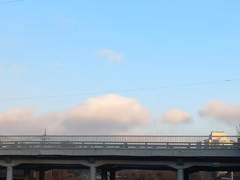 아침 산책에서 발견한 아름다움✨️