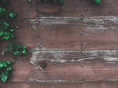 마법 학교 크루타 3화