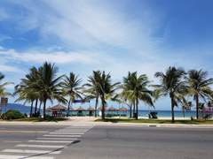 베트남에 가고 싶다