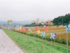 이정도는 누구나 버티는 일 아닐까? 10 (完)