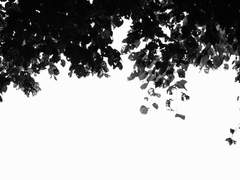 善. 말하자면 더 많은 善人을 부르는.