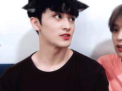 우리집 마크는 천재 고양이?