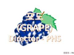 Grape(포도)