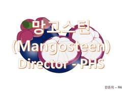 Mangosteen(망고스틴)