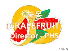 Grapefruit(자몽)
