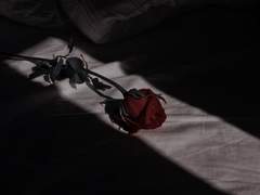 마음을 기댈 수 없는 관계에,