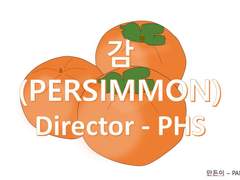 Persimmon(감)