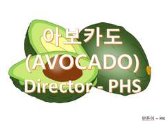 Avocado(아보카도)