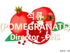 Pomegranate(석류)