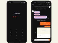 261. Spring #02 Dark (Perfume & Flamingo)