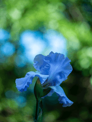 [미수반] 팀장이란 직위 아래