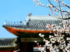 쭉정이와 팔푼이 외전 2 [봄, 전남 (상)]