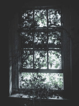 [GL] 오래된 정원