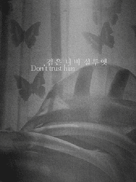 검은 나비 실루엣