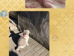 이부키 전달 결정 그룹 토크