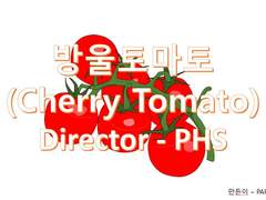 Cherry Tomato(방울 토마토)