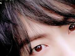 입장정리 外 : 上