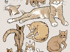 <동물 타입> 작업물