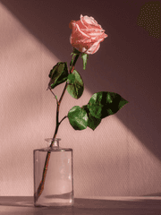 좀비고등학교- 단편 드림