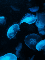 2023 NPIUS 관리 보고서