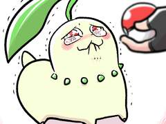 포켓몬 스바 재밌더라