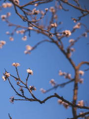 화산귀환 모브1