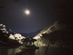 눈 떠보니 사극물 7