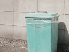 안티 샌티드(12)