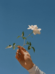 역전재판 2차 글