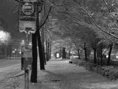 시린 그 계절 당신을 그리며