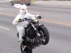 딸(기 만큼 달콤한)♡배(달 일지) +