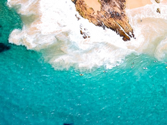 [문대청려] 뭍에 오른 고래 (2)