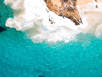 뭍에 오른 고래 연재 관련