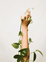 그 영애는 절대 지지 않아