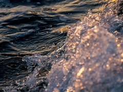 문헌설화: 이정전 10