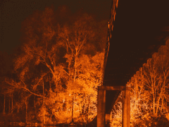 부부는 외나무 다리에서 만난다 14화