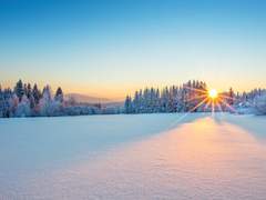 봄을 기다리는 설렘