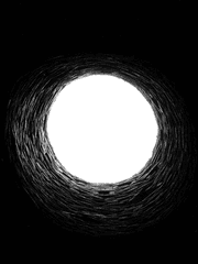 난초의 꽃은 향기가 없다 (about his empty)