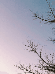 이런 환생은 원치 않아