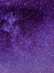 靑春愛(청춘애)