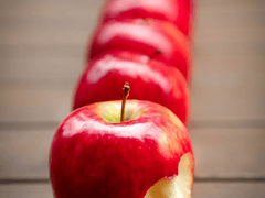 잠시 글 내립니다.