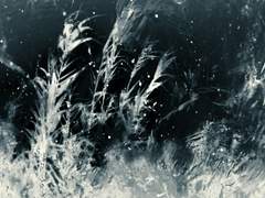 [메이휘] 다정 - 1