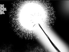 3. 무지한 이는 두려움을 알지 못한다