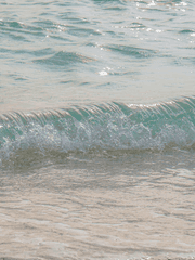 여름에 녹는 지우개